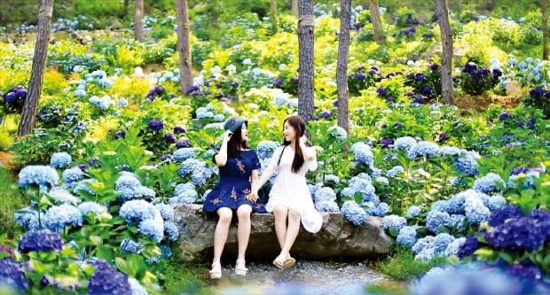 전남 해남 4est 수목원. /전라남도 제공