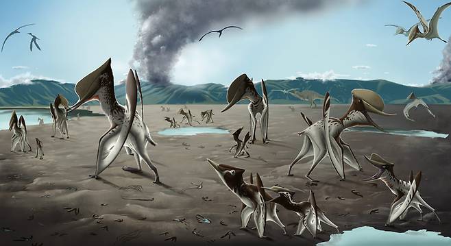 전남대 연구팀이 익룡들이 군집생활을 했다는 것을 증명하는 화석을 세계에서 처음으로 발굴했다. 화석을 바탕으로 한 익룡의 군집생활 복원도. 전남대 제공.