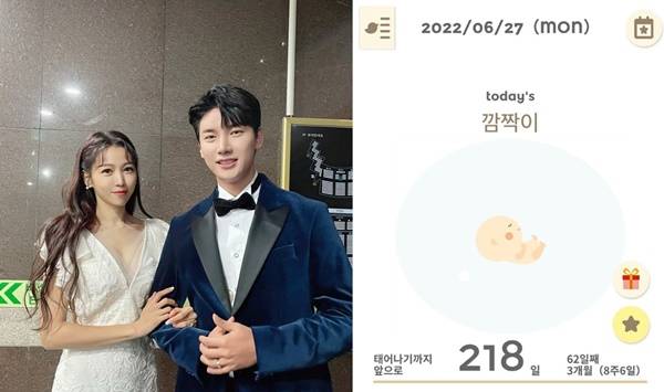 이은혜 계류유산 고백 / 사진=이은혜 가족 SNS