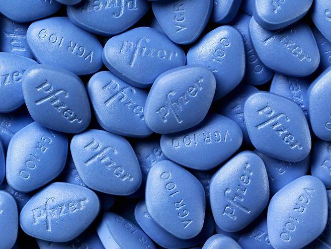 비아그라. /조선DB