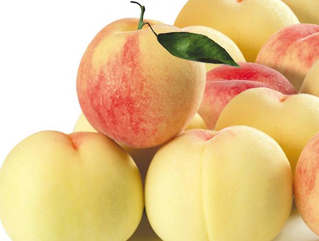 음성군의 인기 농산물 햇사레 복숭아가 음성군 고품질 작물을 아우르는 브랜드 ‘음성명작’으로 재탄생했다.