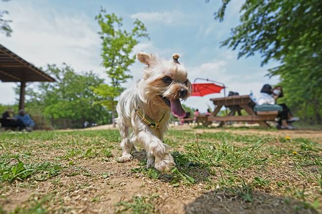 [사진 제공 = 한국관광공사]