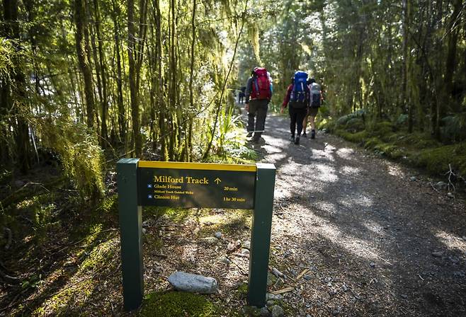 세계적으로도 가장 유명한 트레킹 코스 중 하나인 밀포드 트랙 [뉴질랜드관광청 제공]