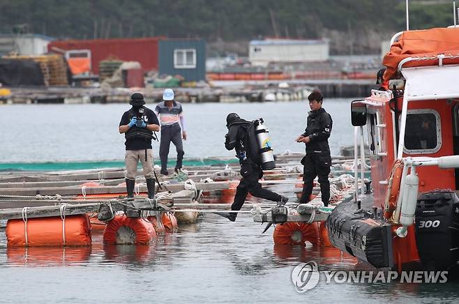 인양 위해 투입되는 잠수부 (완도=연합뉴스) 천정인 기자 = 29일 오전 전남 완도군 신지면 송곡선착장 인근 가두리양식장에서 잠수부가 인양을 위해 바닷속으로 들어가고 있다. 경찰은 실종된 조양의 가족과 차량을 찾기 위해 수중 수색하다 전날 가두리양식장 아래 갯벌에 잠겨있는 차량을 발견했다. 2022.6.29 iny@yna.co.kr