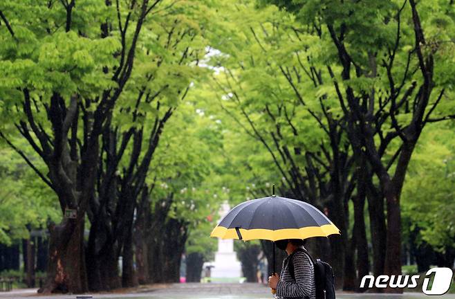 비가 내린 대전 서구 일원에서 시민이 우산을 쓰고 지나고 있다.  © News1 김기태 기자