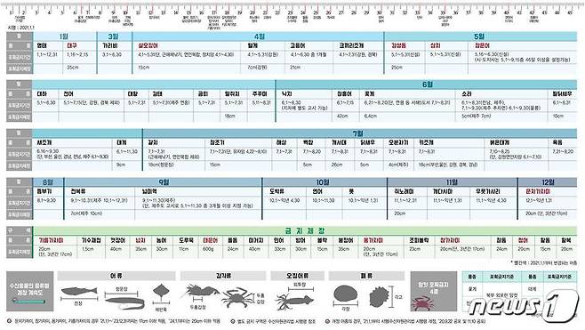 수산자원관리법 시행령에 따른 금어기·금지체장(해양수산부 제공)© 뉴스1