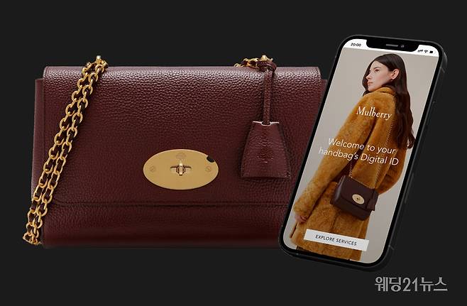 사진제공 : 멀버리