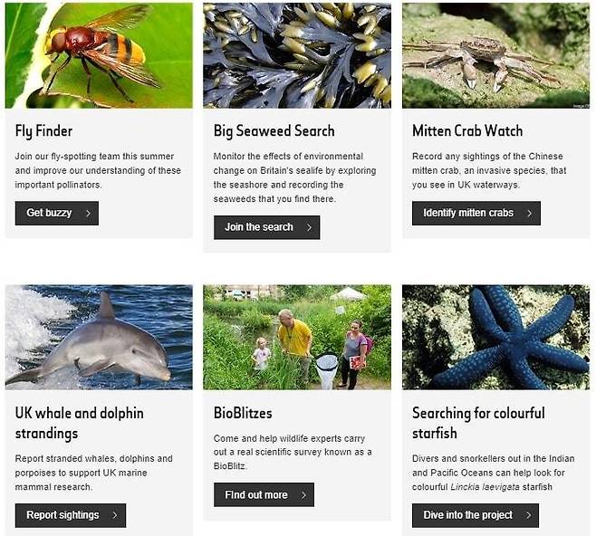 자연사 박물관에서 진행 중인 시민과학 프로젝트. 박소현씨 제공