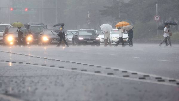 자료 제공: 연합뉴스