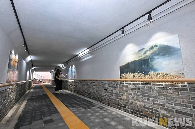 강원 정선군 남면 문곡시가지 지하보도.