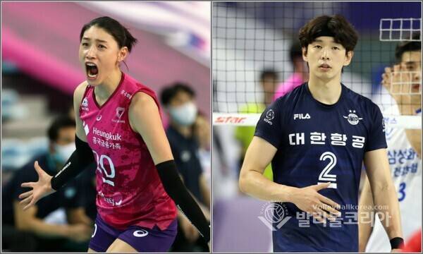 흥국생명 김연경과 대한항공 한선수.