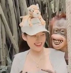 태국의 한 동물원에서 오랑우탄이 여성 방문객에게 스킨십하는 모습/데일리메일