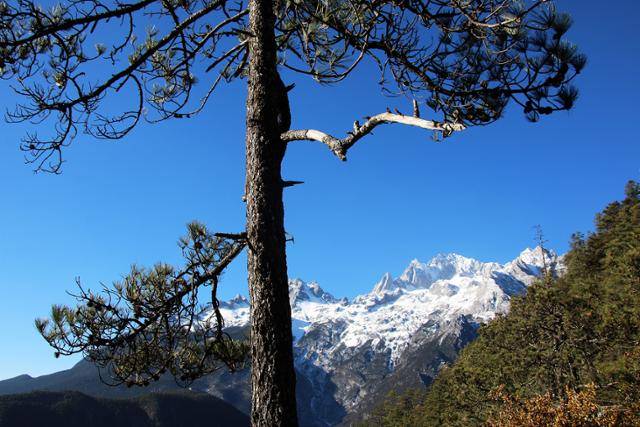 운삼평 케이블카에서 본 옥룡설산. ⓒ최종명