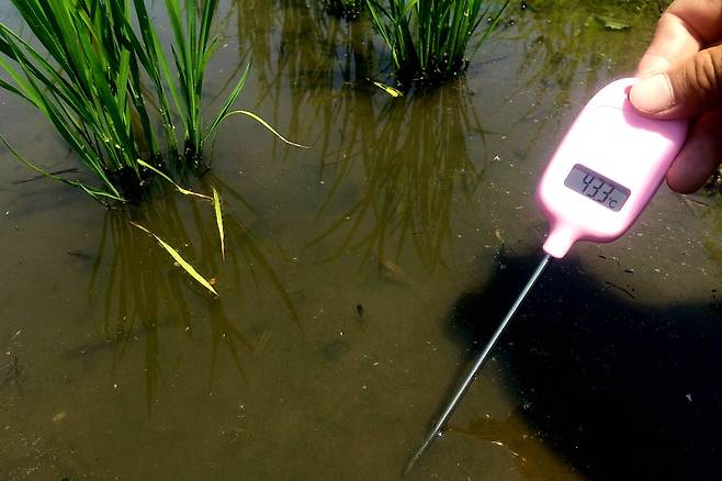 이 청년은 수온를 재는 사진도 올렸다. [트위터 캡처]