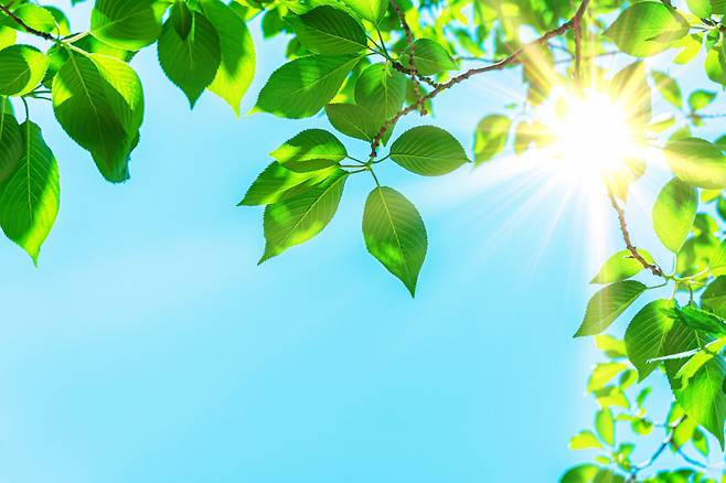 [게티이미지뱅크]