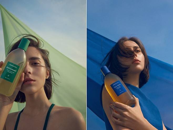 아로마티카 '로즈마리 스칼프 스케일링 샴푸'(왼쪽)와 '티트리 퓨리파잉 샴푸' *재판매 및 DB 금지