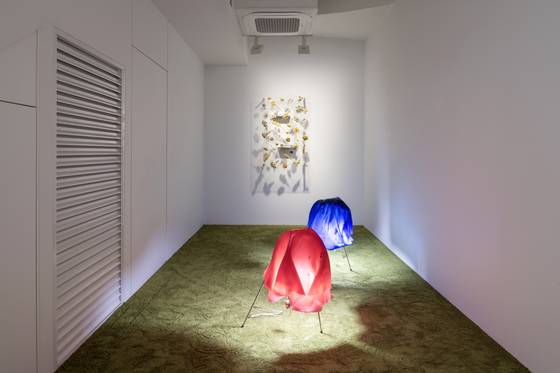 아니카 이의 '네스트' 연작과 '템푸라 프라이드 플라워' 연작이 글래드스톤 서울에 전시된 모습 [사진 글래드스톤 제공]