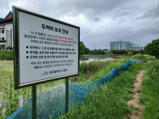 대구 수성구 욱수동 국내 최대 두꺼비 서식·산란지인 망월지 둑에 두꺼비 보호 안내판과 보호 펜스가 설치돼 있다.