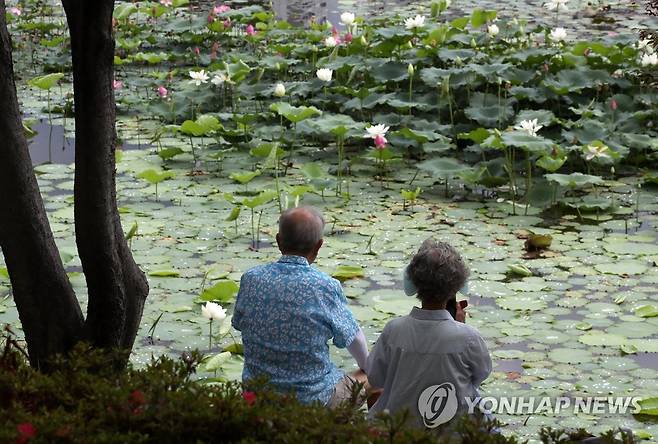 연꽃 핀 연못가에서 (광주=연합뉴스) 조남수 기자 = 4일 오후 광주 북구 전남대에서 한 노부부가 연꽃이 핀 연못가에 앉아 휴식하고 있다. 2022.7.4 iso64@yna.co.kr