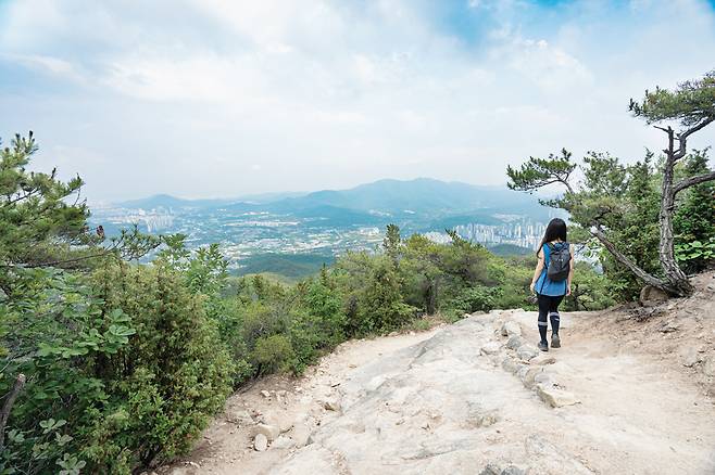 용마능선에서 바라본 과천시.