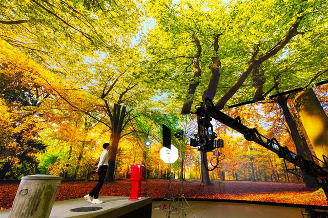5일 처음 공개된 경기 파주 CJ ENM 스튜디오 센터 내 ‘버추얼 프로덕션 스테이지’에서 울창한 숲속을 배경으로 연기하는 배우를 촬영하는 모습.CJ ENM 제공