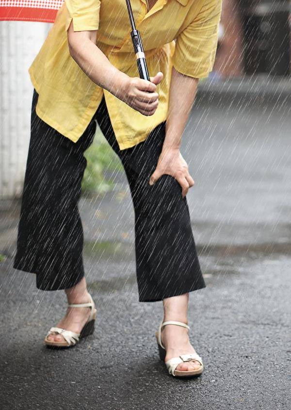 신지호 헬스조선 기자