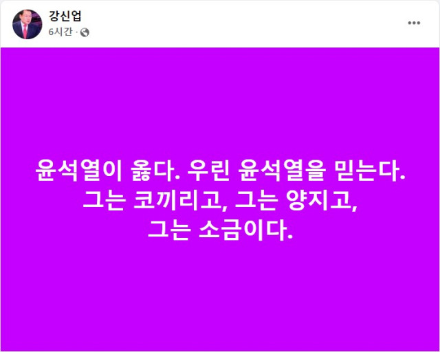 ▲ 윤석열 대통령 부인인 김건희 전 코바나 대표 팬클럽 '건희사랑' 회장 강신업 변호사 페이스북 갈무리.