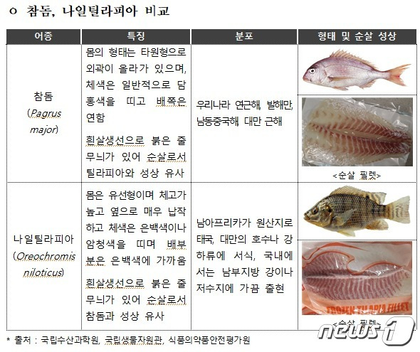 참돔과 나일틸리피아 비교 (식품의약품안전처 제공) © 뉴스1