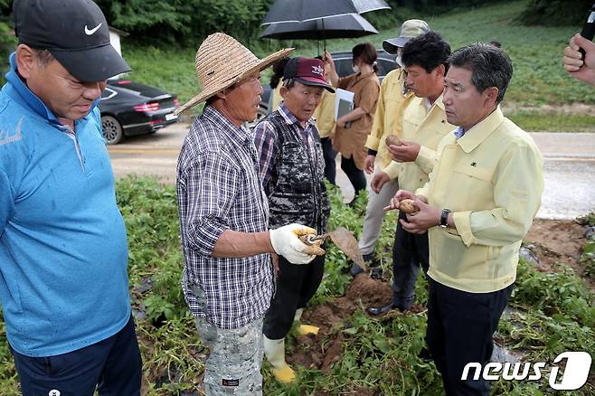 극심한 피해 입은 양구 해안면 고랭지 감자 재배 농민 만난 서흥원 양구군수.(양구군 제공) 2022.7.7/뉴스1