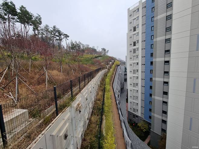 경기 성남시 분당구 백현동의 옛 한국식품연구원 부지에 들어선 아파트 단지 전체 부지 면적의 70%까지 개발 면적을 넓히기 위해 산과 맞닿은 경사지를 깎으면서 약 50m 높이의 옹벽(사진 왼쪽)이 세워졌다. 성남=김재명 기자 base@donga.com