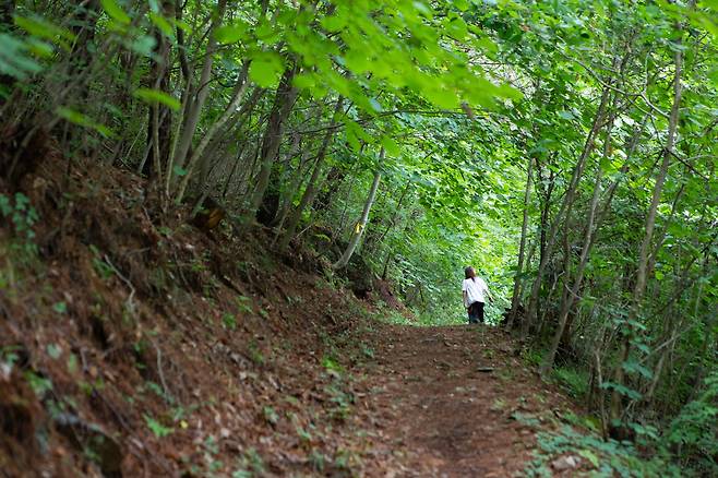 평창 청옥산 깨비마을 안쪽에는 용수골로 가는 산책로가 있다. 청아한 계곡물소리 들으며 걷기 좋다.