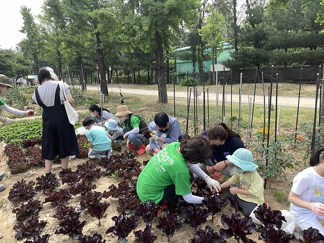 어린이대공원 여름텃밭 바른 먹거리 교육 [서울시 제공. 재판매 및 DB 금지]