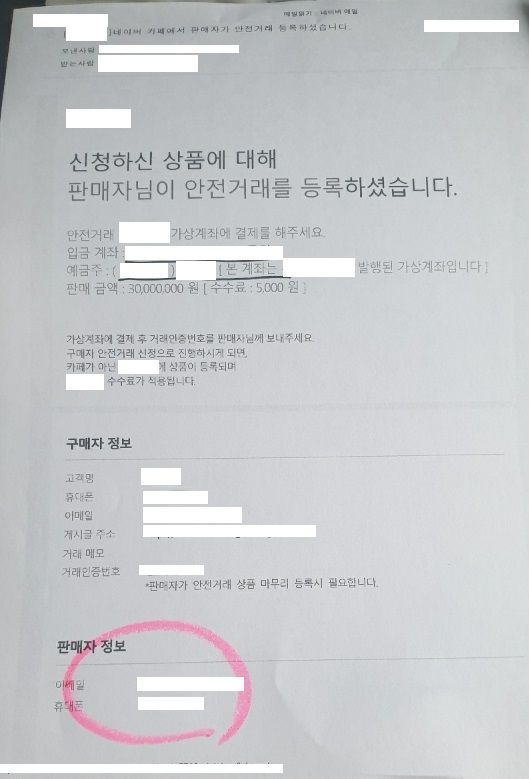 A씨가 박씨에게 3000만원을 입금한 내역. 메일을 통해 '안전거래'로 등록됐다고 소개하고 있지만, 실상은 박씨가 조작한 것. /독자 제공