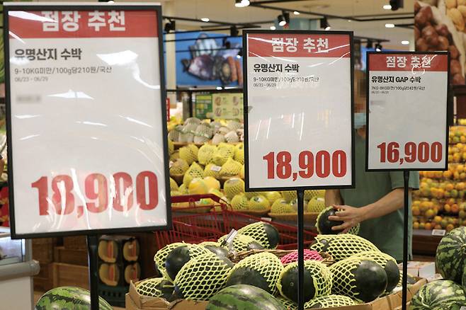 서울의 한 대형마트에서 장을 보는 시민들의 모습./사진=뉴스1