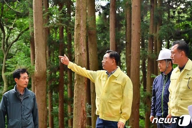 김한종 장성군수(왼쪽 두번째)가 축령산 편백숲 '하늘숲길' 사업지를 확인하고 있다. © News1