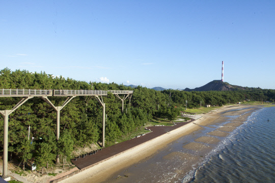 서천 장항산림욕장 전경 사진=서천군 제공