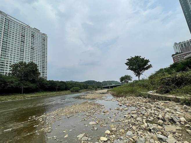 기능을 상실한 농업용 콘크리트 보를 철거한 뒤 자연형 하천으로 회복되고 있는 탄천의 모습. 김기성 기자