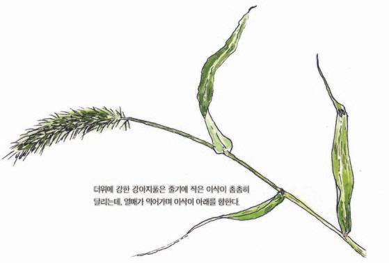 우리 주변 식물들의 비밀 이야기