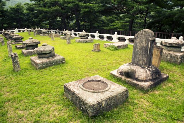 경북 성주 선석산 아래 위치한 태봉에 조성된 세종대왕자 태실(사적 제444호). 이곳에는 세종대왕 18왕자와 단종의 태(탯줄) 등 19기가 군집을 이루고 있다. 경북도 제공