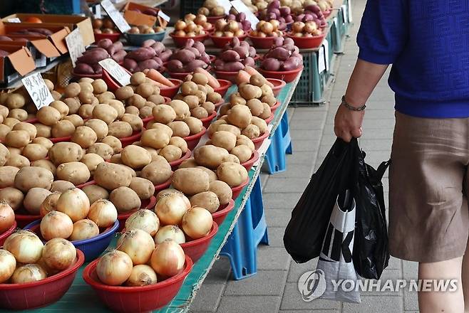 지난 5일 통계청 발표에 따르면 6월 소비자물가 상승률이 1998년 외환위기 이후 약 24년 만에 6%대로 치솟았다. 에너지·원자재를 비롯해 농축수산물 가격 오름세도 확대되면서 물가 상승폭이 전월(5.4%)보다 커졌다. 품목별로 보면 감자(37.8%), 수입 쇠고기(27.2%), 닭고기(20.1%), 돼지고기(18.6%) 등이 올랐다. 사진은 서울 동대문구의 한 재래시장에 진열된 감자. [연합뉴스 자료사진]