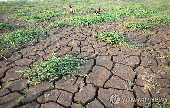 가뭄으로 갈라진 메콩강 바닥 [EPA 연합뉴스 자료사진]