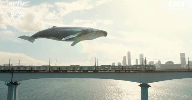 ‘이상한 변호사 우영우’에서 영우의 출근길을 함께하는 고래. 고래는 그를 든든하게 지키는 존재다.