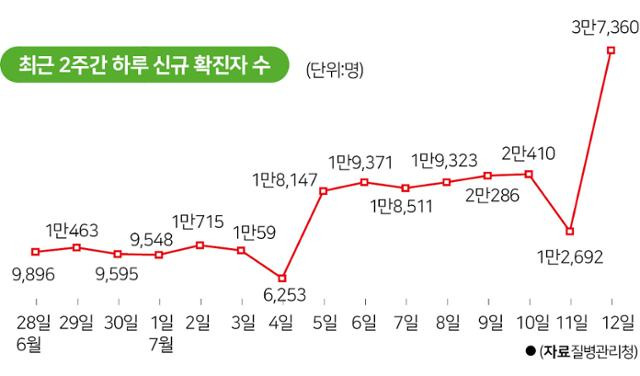 최근 2주간 하루 신규 확진자. 그래픽=박구원 기자