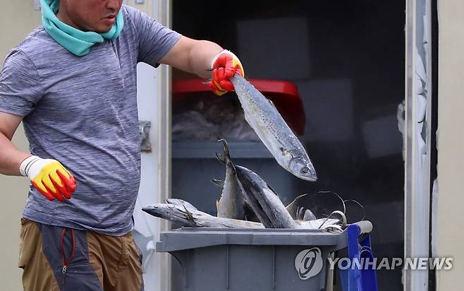 '주민 악취 고통' 썩은 생선 처리 (광주=연합뉴스) 박철홍 기자 = 12일 오전 광주 북구 임동의 한 수산물업체 냉동고에서 광주 북구청 관계자들이 부패해 악취를 풍기는 생선을 치우고 있다. 해당 업체는 부도 후 냉동고에 보관 중이던 생선이 장기간 방치되면서 주민들에게 악취 고통을 안겼다. 2022.7.12 pch80@yna.co.kr