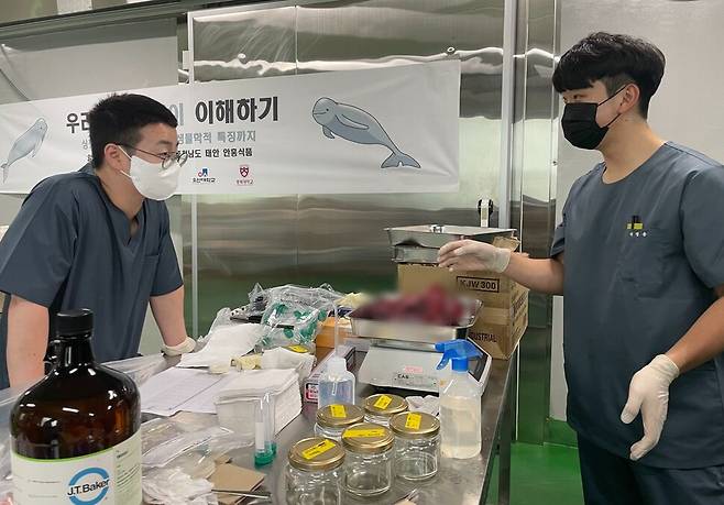 한양대·인하대 연구진들이 현장에서 상괭이의 지방, 근육 등을 채집했다. 연구진들은 해양생물의 샘플을 채취해 잔류성 유기오염물질, 미세플라스틱 수치 등을 검사할 예정이다.