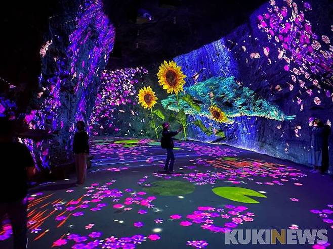 화암동굴 미디어아트