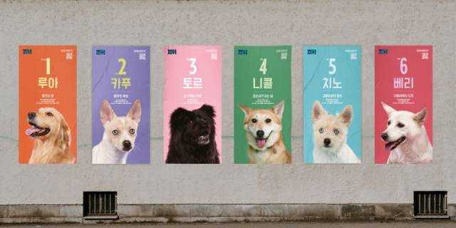 바라만 봐도 흐뭇한 '전국동시입양선거' 포스터. /위액트