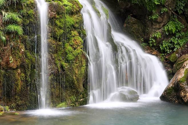 삼척 도계읍 무건리 이끼 폭포[사진/조보희 기자]