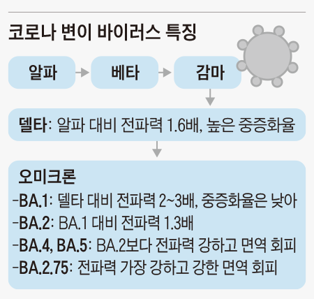 코로나 변이 바이러스 특징