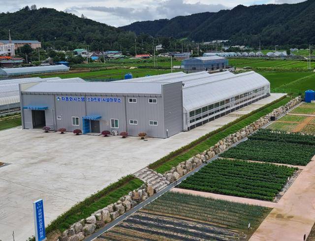 강원 화천군 상서면 군 농업기술센터 인근에 바나나 등 열대과일 재배를 위해 조성한 스마트팜. 화천군 제공